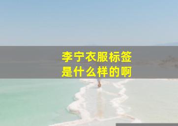 李宁衣服标签是什么样的啊