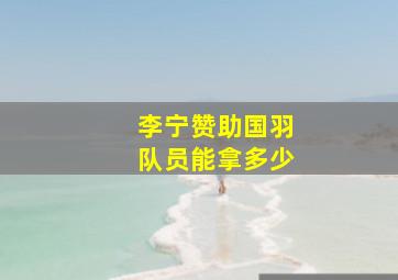 李宁赞助国羽队员能拿多少