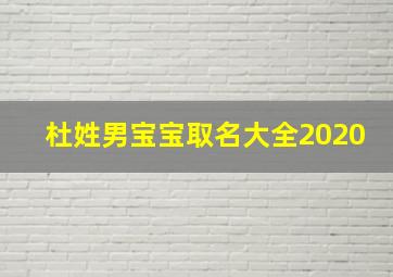 杜姓男宝宝取名大全2020