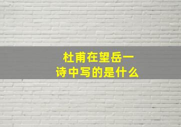 杜甫在望岳一诗中写的是什么