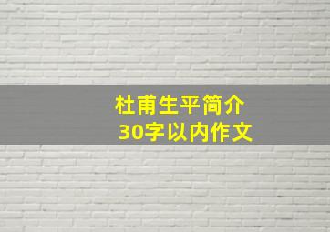 杜甫生平简介30字以内作文