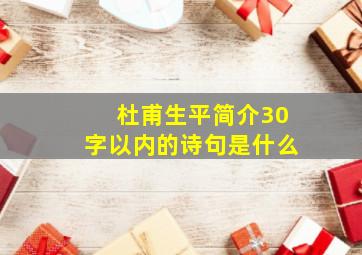 杜甫生平简介30字以内的诗句是什么