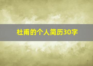 杜甫的个人简历30字