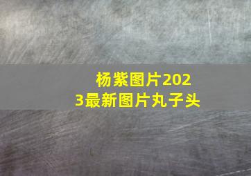 杨紫图片2023最新图片丸子头