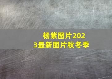 杨紫图片2023最新图片秋冬季