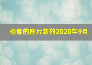 杨紫的图片新的2020年9月