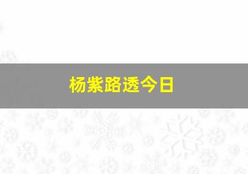 杨紫路透今日