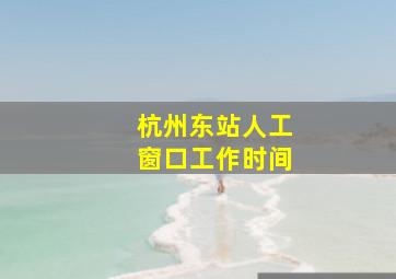 杭州东站人工窗口工作时间