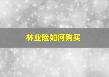 林业险如何购买