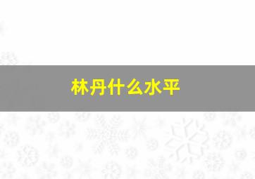 林丹什么水平