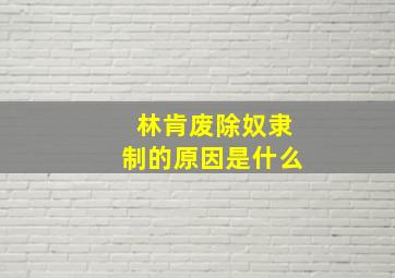 林肯废除奴隶制的原因是什么