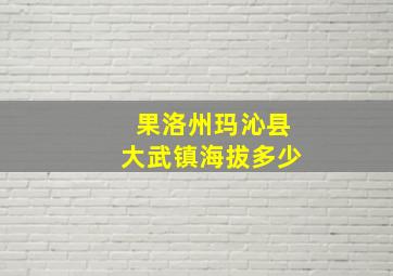 果洛州玛沁县大武镇海拔多少