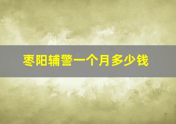 枣阳辅警一个月多少钱