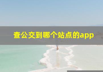 查公交到哪个站点的app