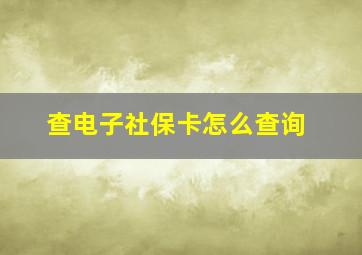 查电子社保卡怎么查询