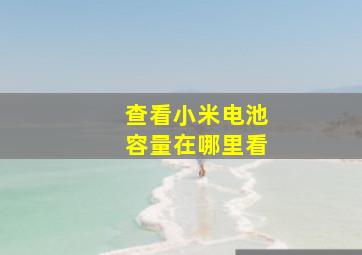 查看小米电池容量在哪里看