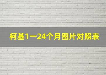 柯基1一24个月图片对照表