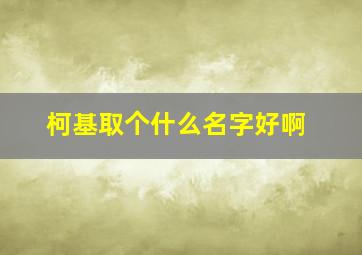 柯基取个什么名字好啊