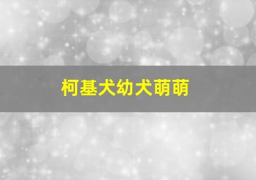 柯基犬幼犬萌萌