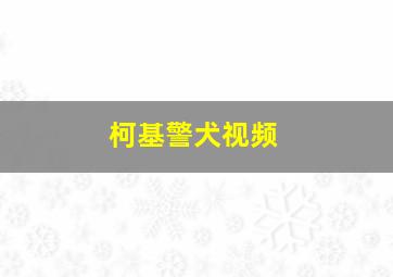 柯基警犬视频