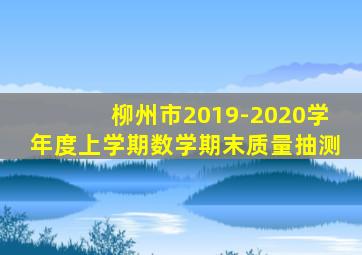 柳州市2019-2020学年度上学期数学期末质量抽测