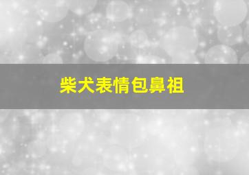 柴犬表情包鼻祖