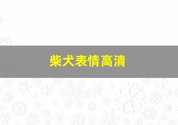 柴犬表情高清