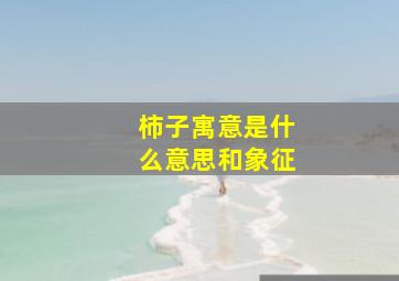 柿子寓意是什么意思和象征