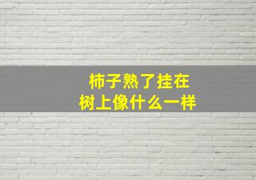 柿子熟了挂在树上像什么一样