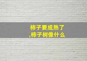 柿子要成熟了,柿子树像什么