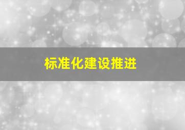 标准化建设推进