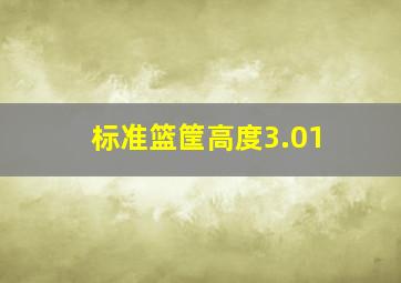 标准篮筐高度3.01