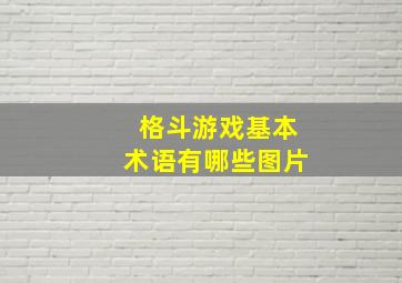 格斗游戏基本术语有哪些图片