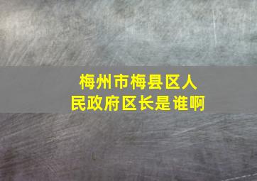 梅州市梅县区人民政府区长是谁啊