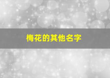 梅花的其他名字