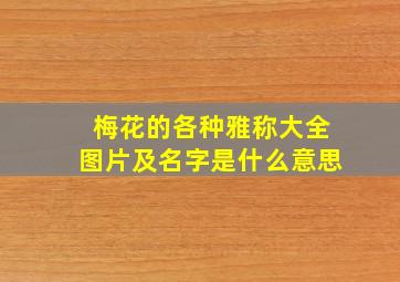 梅花的各种雅称大全图片及名字是什么意思