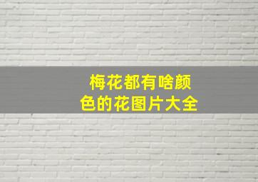 梅花都有啥颜色的花图片大全