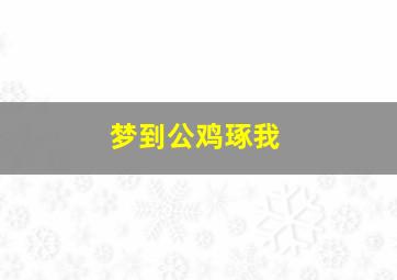 梦到公鸡琢我