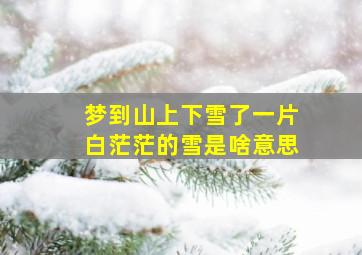 梦到山上下雪了一片白茫茫的雪是啥意思