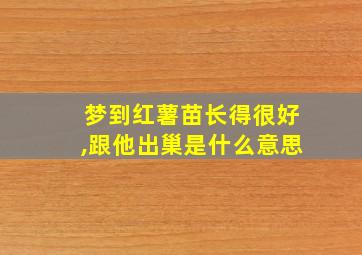 梦到红薯苗长得很好,跟他出巢是什么意思