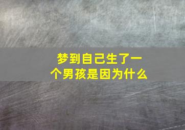 梦到自己生了一个男孩是因为什么