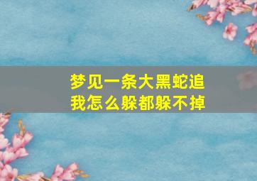 梦见一条大黑蛇追我怎么躲都躲不掉