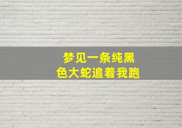 梦见一条纯黑色大蛇追着我跑