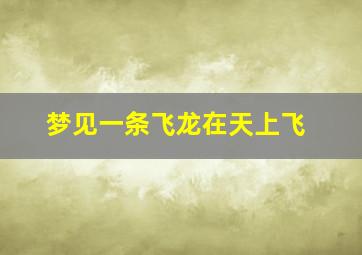 梦见一条飞龙在天上飞