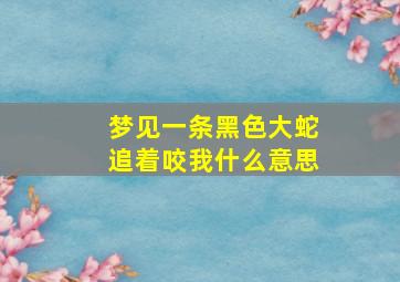 梦见一条黑色大蛇追着咬我什么意思