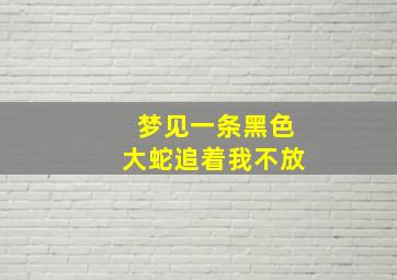 梦见一条黑色大蛇追着我不放