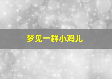 梦见一群小鸡儿