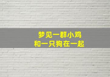 梦见一群小鸡和一只狗在一起