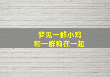 梦见一群小鸡和一群狗在一起