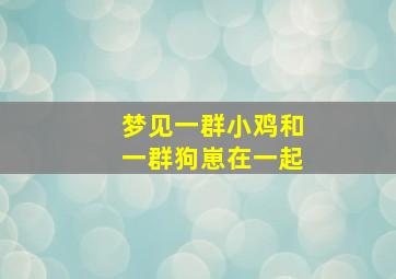 梦见一群小鸡和一群狗崽在一起